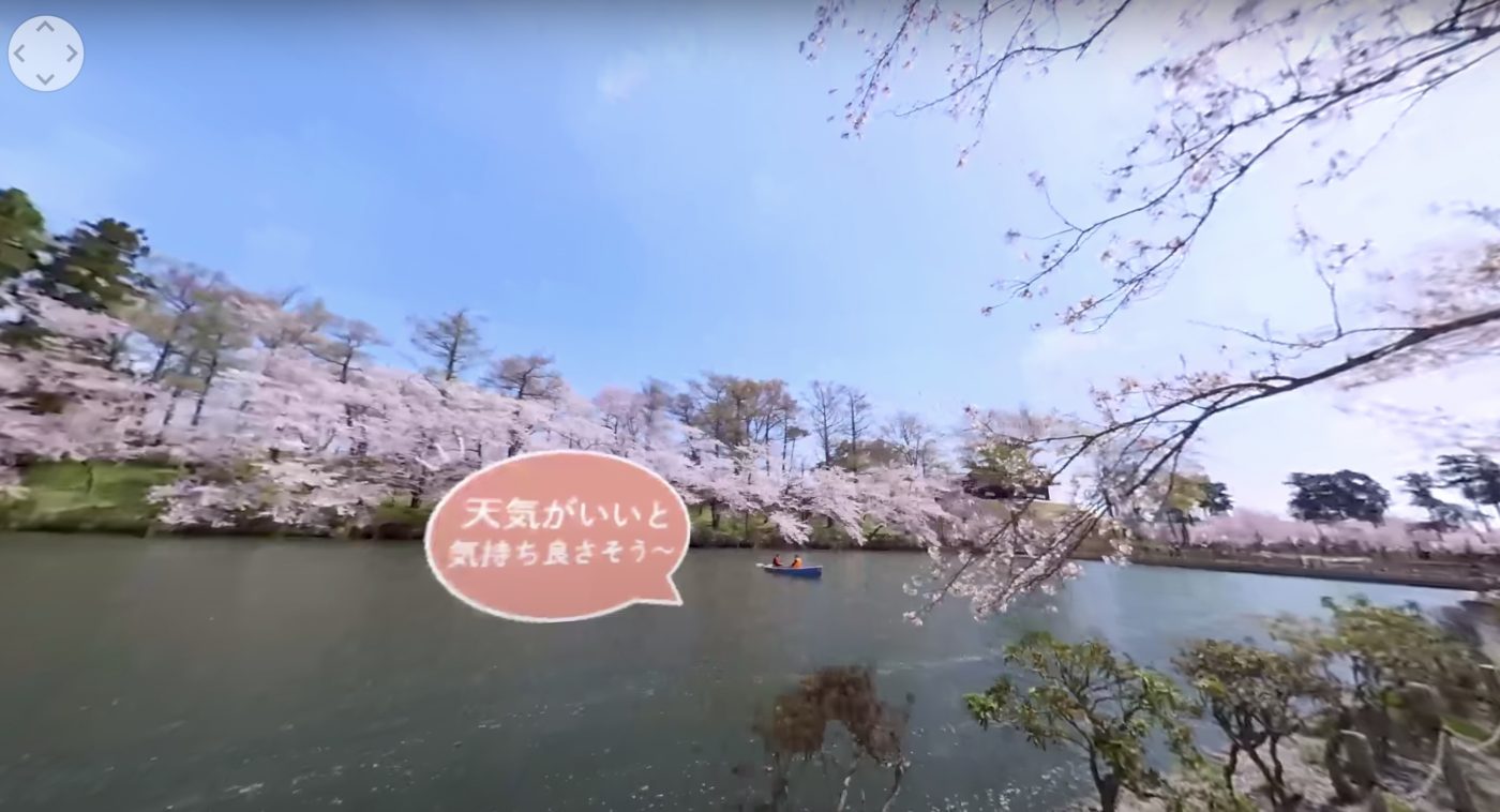 新潟日報に「高田城址公園」のバーチャルお花見をご紹介いただきました
